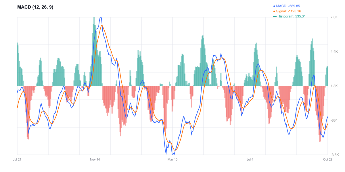 MACD للبيتكوين - زخم صاعد