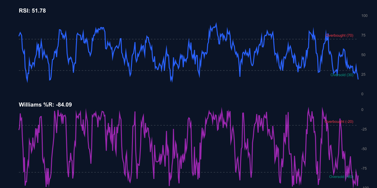 RSI + Williams %R للبيتكوين - إشارات ذروة البيع
